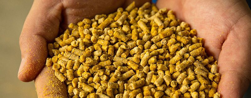 Animal Feed Bentonite 2